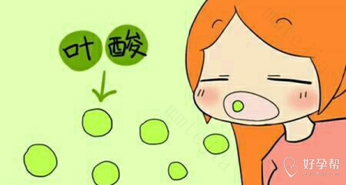 备孕期补叶酸需要注意什么