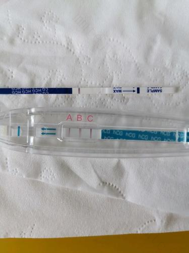 验孕时,试纸和验孕棒应该选择哪一种好呢? 验孕时,试纸和验孕棒应该选择哪一种好呢?