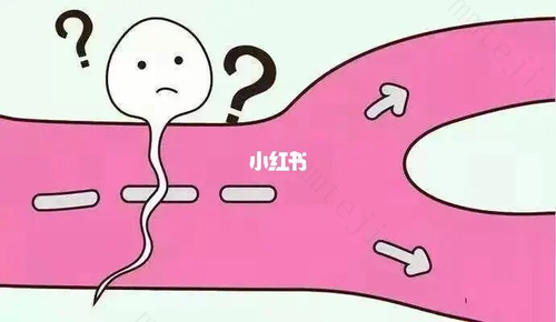 附睾炎对精子有什么影响