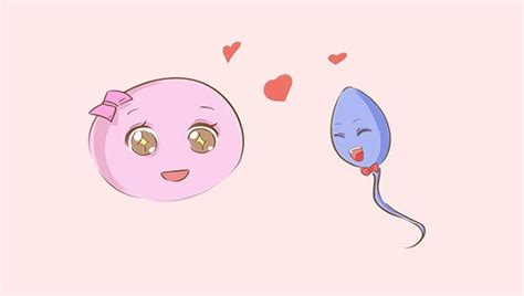 生男生女是谁的因素