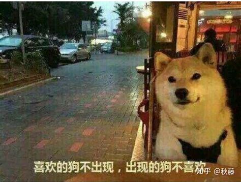 生男生女一图读懂