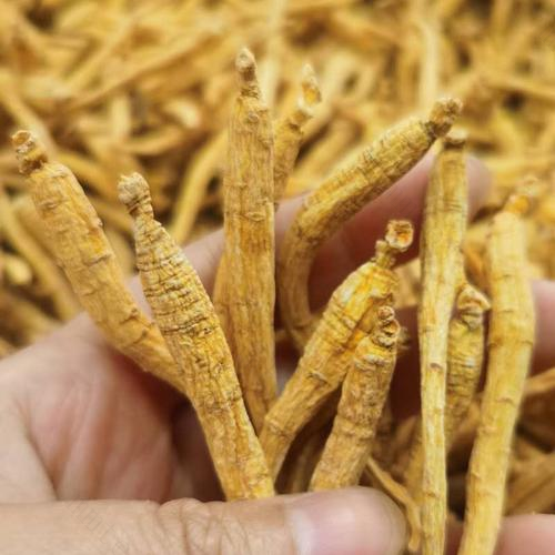 不孕患者须慎用滋补品 不孕患者须慎用滋补品