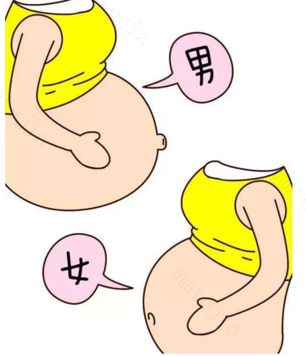 怀男孩的特征有哪些? 怀男孩的特征有哪些?
