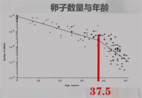 女性最佳生育年龄范围