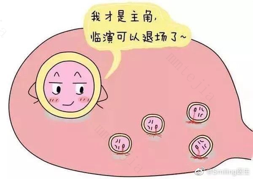 高龄备孕,如何让卵子年轻些? 高龄备孕,如何让卵子年轻些?