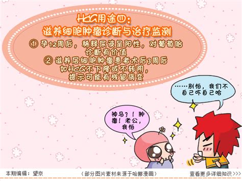 备孕如何补充叶酸