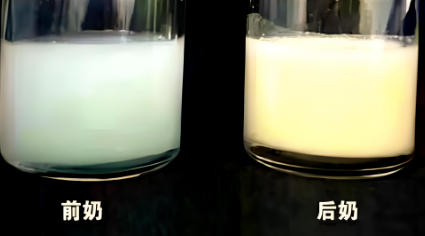 8b89fe90-f756-4d33-8d05-9c5dc0585e57.png