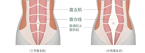8f82f369-a249-4aa2-90ef-a48e8ea31fba.png