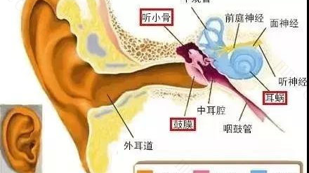我宝宝三周岁了，得了中耳炎，听说很容易复发，如何有效地预防？ 三岁宝宝得了中耳炎怎么办