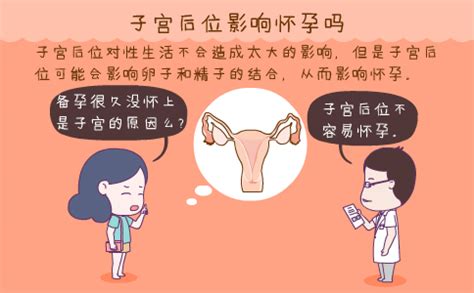 怎么备孕不伤子宫 怎么养好子宫备孕