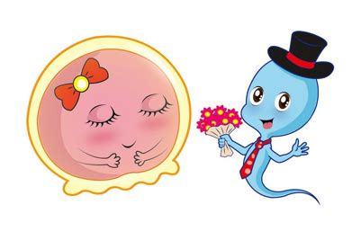 精子质量不好怎么调理？如何通过饮食改善？ 精子质量不高怎么调理