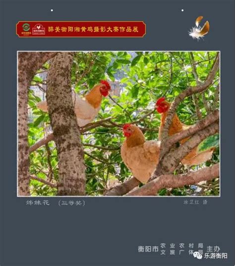 看看你的种子优秀吗 优良的种子