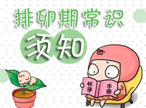 排卵日前一天受孕几率高吗 排卵日前一天受孕率最高吗