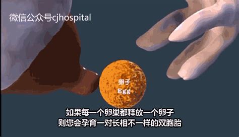 输卵管备孕的必要条件有哪些 输卵管备孕有检查的必要吗