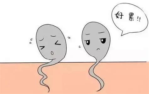 这样吃，让你怀孕几率大增！ 吃什么增加怀孕几率