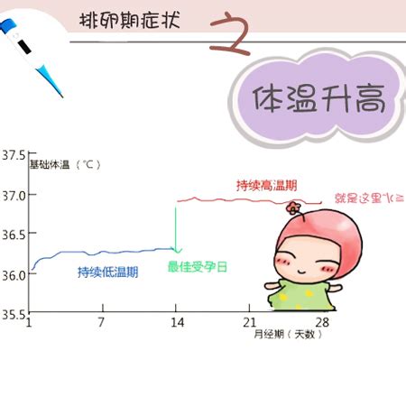 孕前应掌握3大最佳生育时机 怀孕的最佳时机